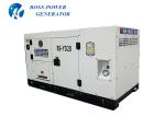 30KVA Ricardo Engine Generator Single Phase Water Cooling With ATS