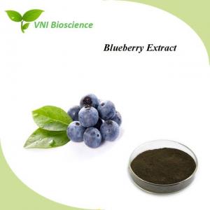 Wholesale Natural Blueberry Extract Powder Supplement Anti Aging Vaccinium Spp from china suppliers