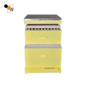 Wholesale Painted 10 Frames Bee Farm 2 Layers Langstroth Beehive from china suppliers