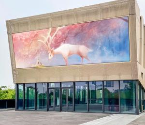 Wholesale P6 LED Video Wall Digital Signage LED Screens 6500cd/sqm Outdoor Digital Advertising Screen from china suppliers