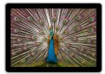 Android System / Os Windows 46 Inch LCD Digital Display Signage Spanish Korea ,