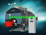 Industry Biomass Coal Fired Steam Boilers Double Drum Chain Grate Combustion