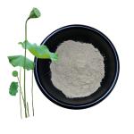 Lotus Leaf Herbal Extract Powder 10% 50% 98% For Dieting Weight Control