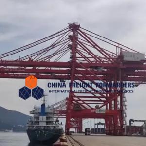Wholesale Global Carrier Freight Forwarder Logistics Ocean Shipping From China To UK from china suppliers