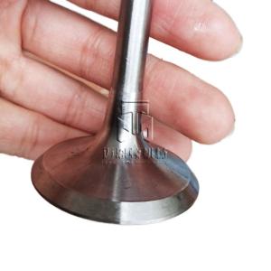 Wholesale Inlet valve Exhaust valve 02137300 02237221 04153697 04159139 04231804 02137457 04159136 04153629 02137301 04159138 04230567 for deutz FL914 FL913 from china suppliers