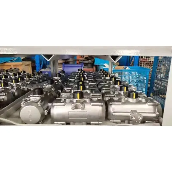 Stainless Steel Corrosion-Resistant Pneumatic Actuator with Hard Anodized Aluminum Rack Pinion Design