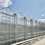 Multi-Span Greenhouse Duble Plate Glass Galvanized Greenhouse Structure Glass