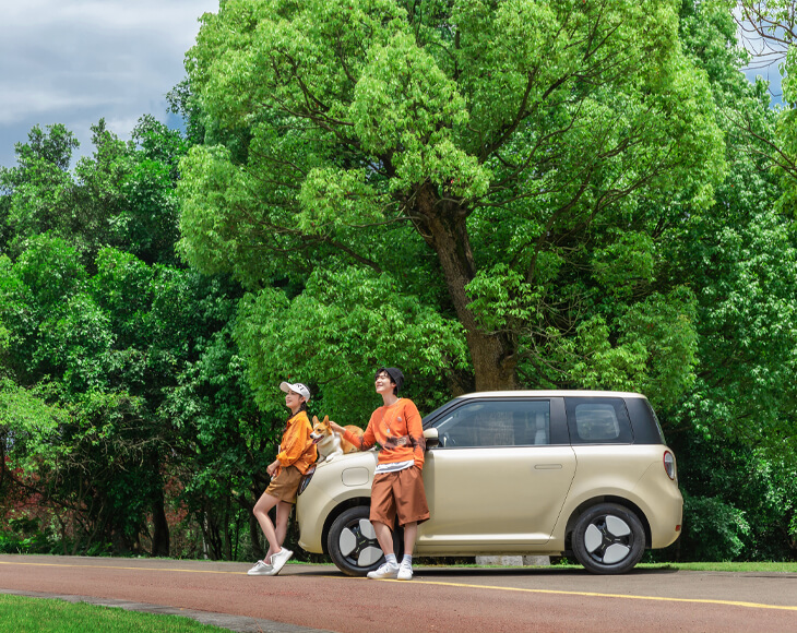 Changan 2023 3 Door 4 Seat Electric Car with Wheelbase of 1980mm and Hybrid Vehicle Fuel