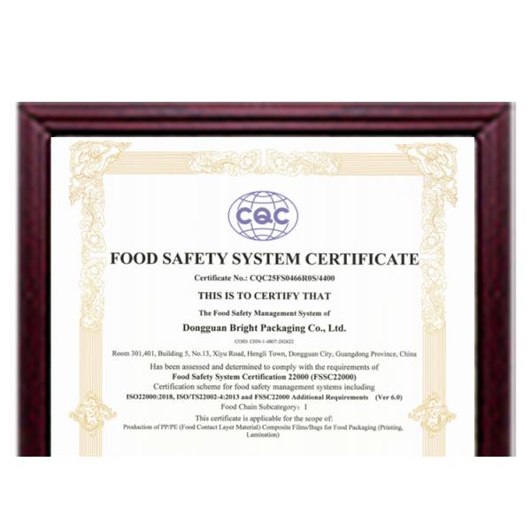 Durable And Convenient Spout Pouch With Handle For Laundry Detergent Packaging Custom Printed Bulk Order Discounts.