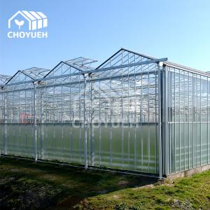 Wholesale Rectangular Glass Enclosed Plant House The Best Choice for Your Greenhouse from china suppliers