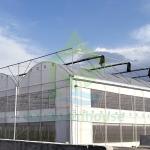 Plant Cultivation With Plastic Film Covered Multi Span Greenhouse And Irrigation