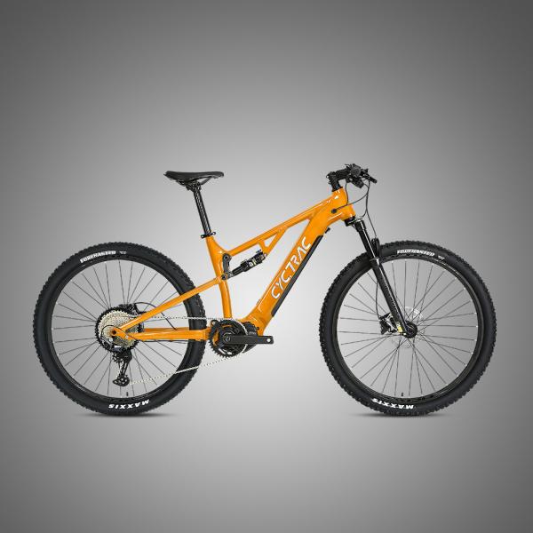 48V Mid Drive Carbon Fiber Thru-Axle Boost Frame Inner Cables Electric Bicycle