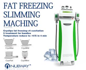 Wholesale Fat Freeze slimm best seller 5 heads cryolipolysis slimming lipolaser fat frezzing machine Cryo Handles can work at sam from china suppliers
