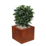 Customized Outdoor Large Planter Box Rectangular Corten Steel Flower Pots