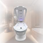 Remote control Electric Ozone Sauna Spa Capsule Massage System
