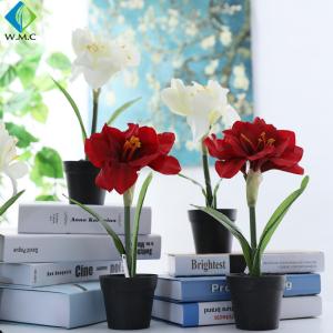 Wholesale Kaffir Lily Artificial Green Plants Silk Plastic Material Potted Type from china suppliers