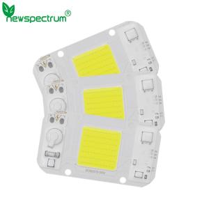 Wholesale 30W AC DC COB NO Driver Chip Led For DIY Floodlight Grow Light from china suppliers