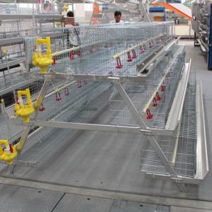 Wholesale Big Size 85*62.5*50 Cm Broiler Chicken Cage Baby Chick Poultry Cage from china suppliers