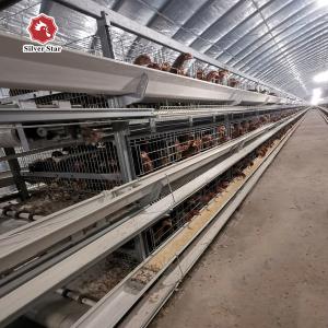 Wholesale Newest Design Of H Type Layer Chicken Poultry Cage from china suppliers