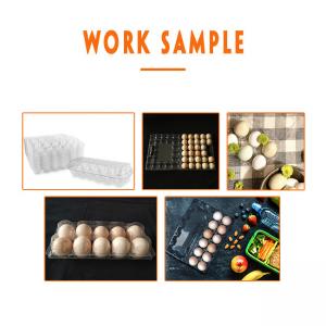 China Pet Plastic Egg Tray Manufacturing Machine Vacuum Forming Packaging on sale