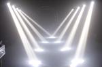 4in1 14CH Mini 15w Dmx 512 Led Moving Head Light Cool White Color Temperature