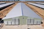 Industrial Prefabricated Light Steel Structure Warehouse Building H Section