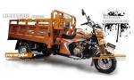 200CC Motorized Cargo Tricycle Chinese Cargo Trike with Delivery Van