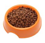 Anti Skid Natural Straw Plastic Slow Feed Dog Bowl Eco Friendly High Polish