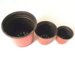 Vacuum formed thermoforming plastic blister pot for fower and tree