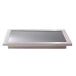 19 Daylight Readable Lcd Monitor , IP67 Touch Screen Monitor Outdoor