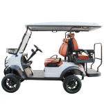 Rear Hub Motor 48V Lithium Battery Golf Cart with Audio System 6 Passenger