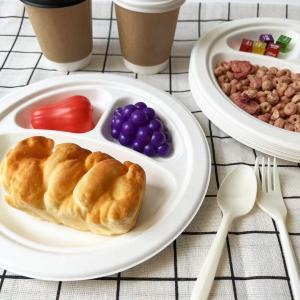 Wholesale Divided Paper Biodegradable Disposable Plates 2-Compartment 3-Compartment from china suppliers