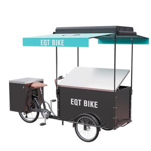 Wholesale Large Storage Custom Cargo Bike , CE Approval Electric Tricycle For Cargo from china suppliers