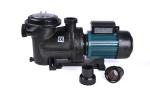 Energy Saving Solar Swimming Pool Water Pump For Salt Water 1.2HP