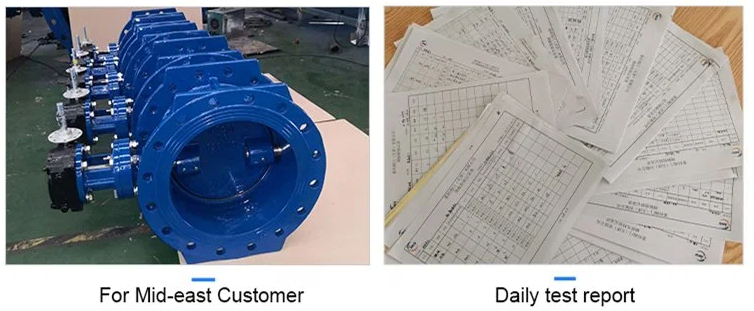 Resilient Seated Double Eccentric Flanged Butterfly Valves with Manual Operation