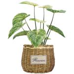 PE Artificial Potted Floor Plants For Fake Plant Philodendron Birkin