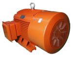 TYE4 Series IE4 3 Phase LV Permanent Magnet Synchronous Motor 6 Pole 8 Pole
