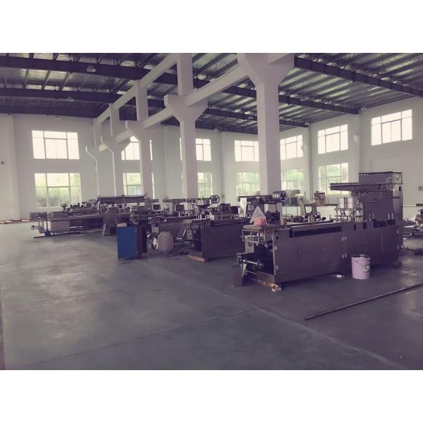 Servo Motor Alu Plastic Automatic Blister Packing Machine Tablet Blister Machine