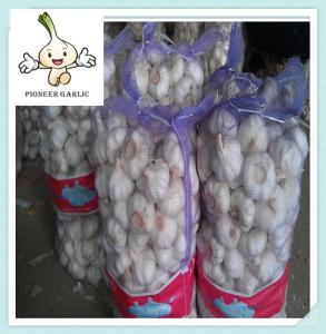 Wholesale white garlic Fresh Normal White Garlic (4.5-6.0cm) Natural Garlic from china suppliers