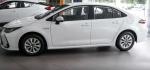 Toyota Corolla Cross 2023 New Car Toyota Corolla Cross Hybrid Car 2023 Toyota