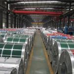 Z20 Z40 Z60 Hot Dipped Galvanized Steel Coil for PPGI Color Coated Steel