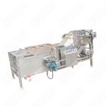Commercial Wash Farm Water Ions Sugarcane Washing Machine Manufacture