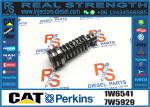 Diesel Fuel Injection Pump Plunger 1w6541 4p9830 9h5797 6n7527 7W5929 9H5797