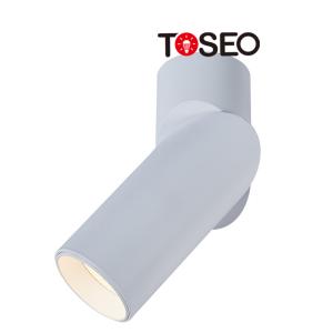 Wholesale Gu10 Adjustable Aluminium Ceiling Downlight Cylinder Surface Mounted For Hotel from china suppliers
