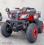 Electric Start 250cc Quad Bike with 500W Motor and Axle-Driven All-Terrain