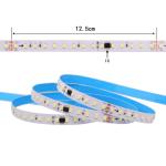 High CRI 95-99 LED Strip 10W/M IP65 Waterproof RGBW Color Change 5 Years