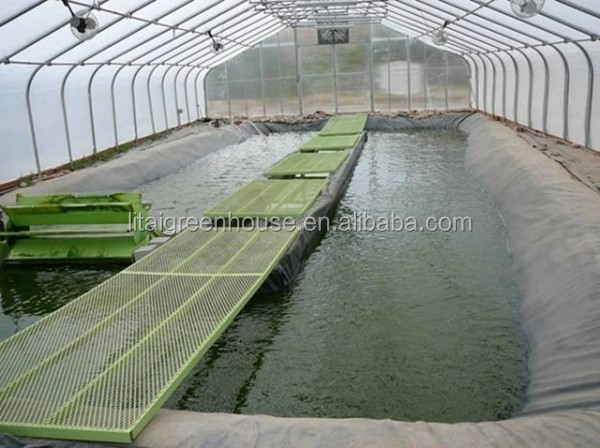 Greenhouse Design for Small Fish Farming and Poultry Cultivation Length Customizable