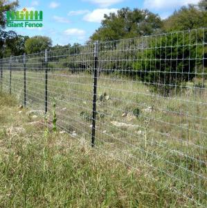 China Hot Dip Galvanized Steel Studded T Post 6ft Metal For Animal Fence on sale