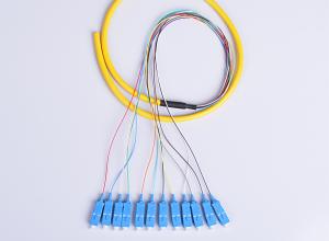 Wholesale 12 Cores 0.9mm Bundle Fiber Optic Pigtail 1.5 Meters SC / UPC Single Mode from china suppliers