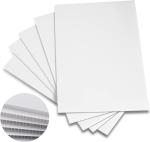 Polypropylene Corflute Sheet Customized Recycled Rigid Corrugated Plastic Sheet